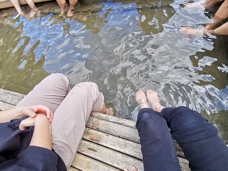 ニュージーランド　ロトルア　クイラウパーク　Kuirau Park rotorua