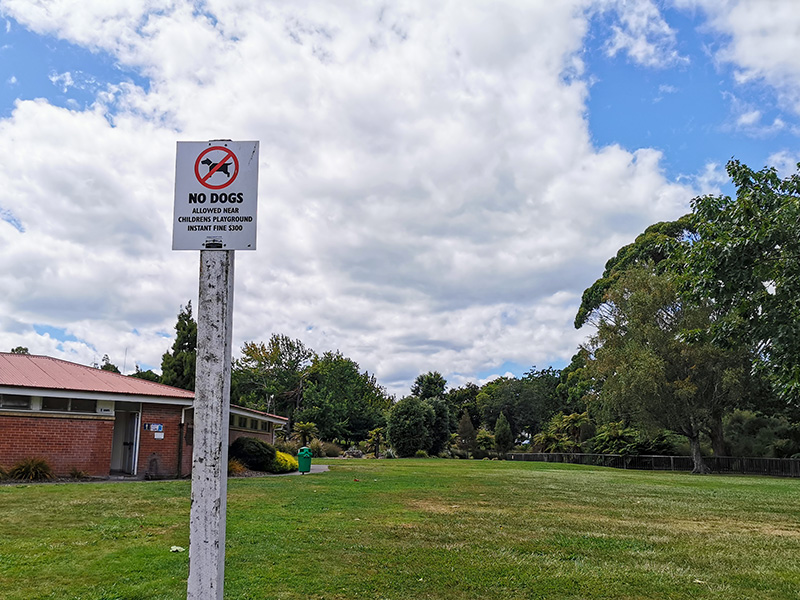 ニュージーランド　ロトルア　クイラウパーク　Kuirau Park rotorua