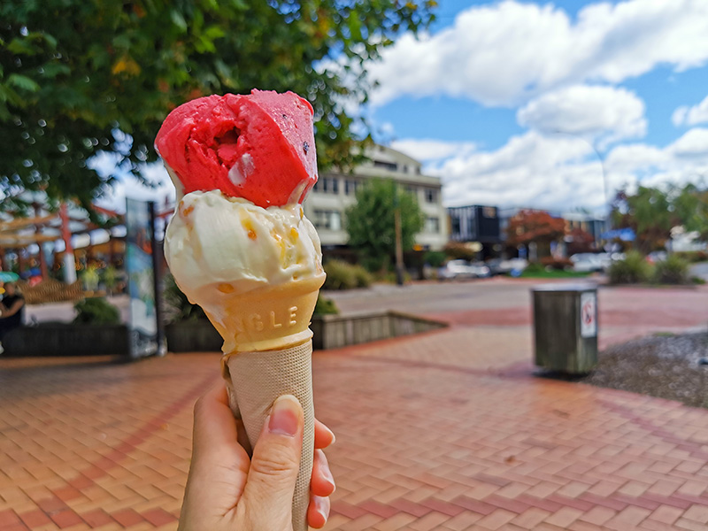ロトルア　Lady Janes Ice Cream Parlour