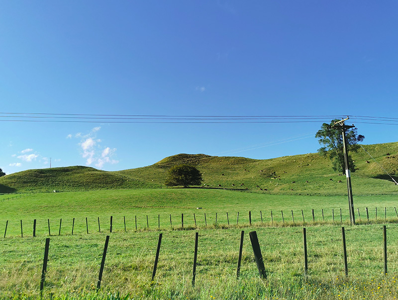 ニュージーランド　旅行　レンタカー