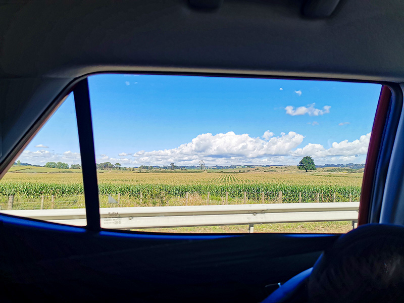 ニュージーランド　旅行　レンタカー