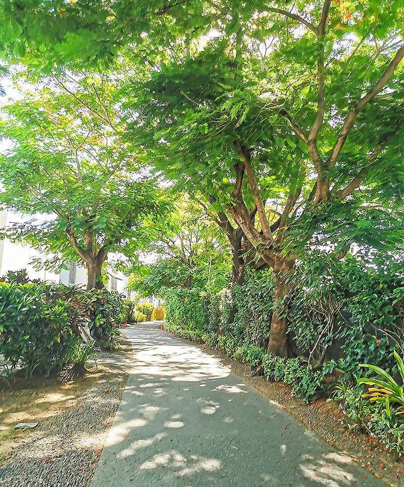 ヒルトン フィジー ビーチ リゾート ＆ スパ　宿泊記